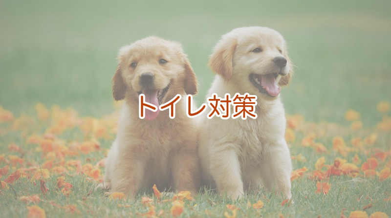 トイレ対策