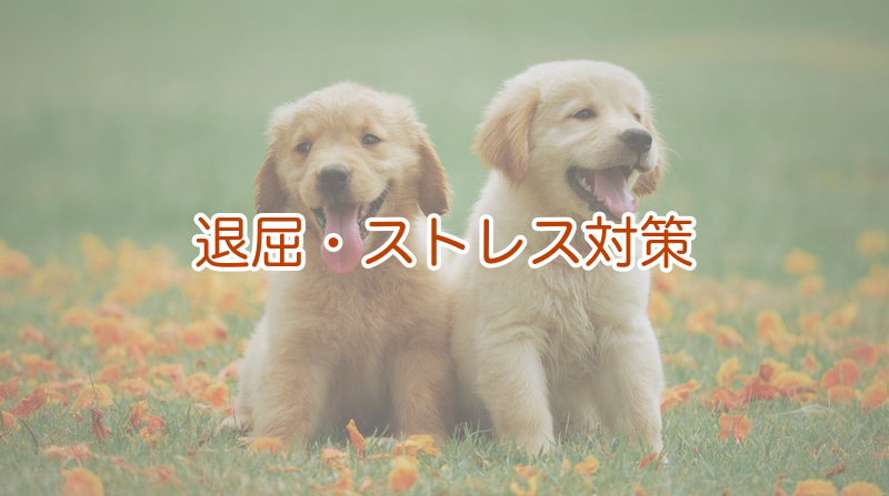 退屈・ストレス対策