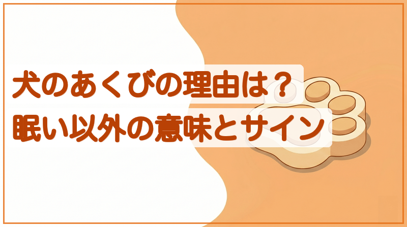 犬のあくびの理由は？眠い以外の意味とストレス・病気のサインをイメージできる記事のメイン画像