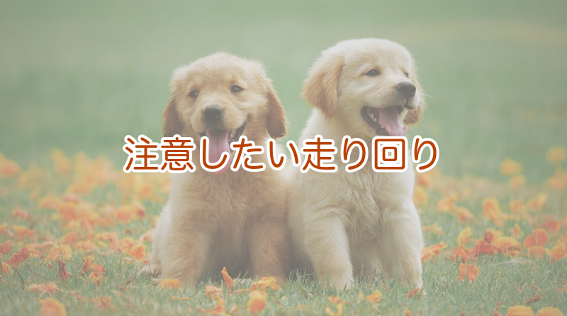 注意したい走り回り｜頻繁・旋回・お尻の違和感