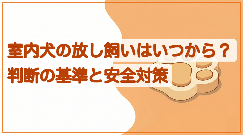 室内犬の放し飼いはいつから？判断の基準と安全対策をイメージできる記事のメイン画像