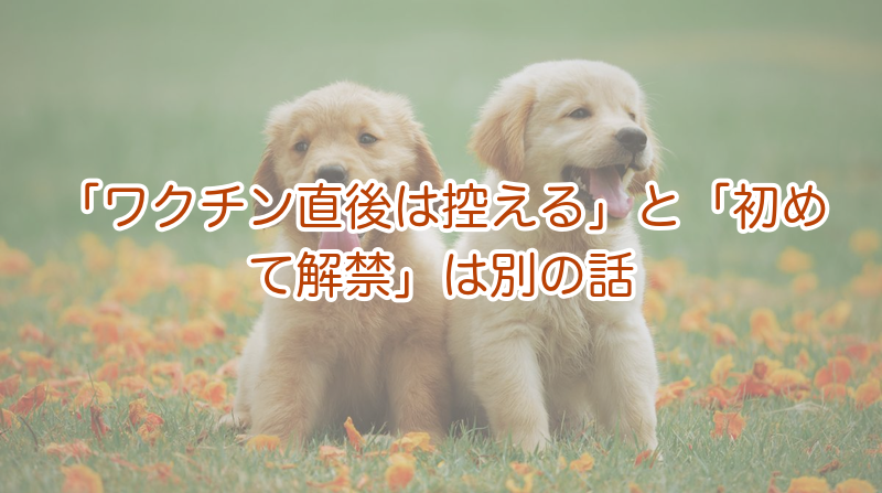 「ワクチン直後は控える」と「初めて解禁」は別の話
