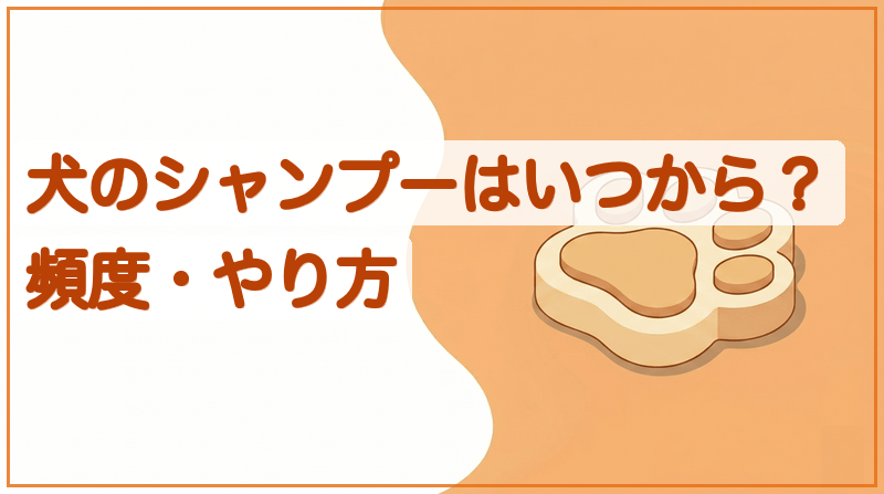 犬のシャンプーはいつから？頻度・やり方・洗えない時期の乗り切り方をイメージできる記事のメイン画像