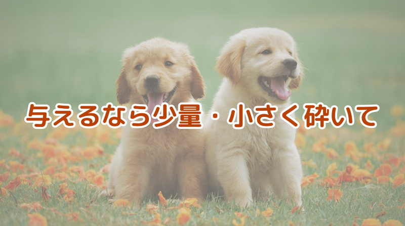 与えるなら少量・小さく砕いて