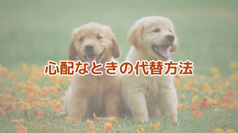 心配なときの代替方法